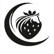 Berry Moon Services logo